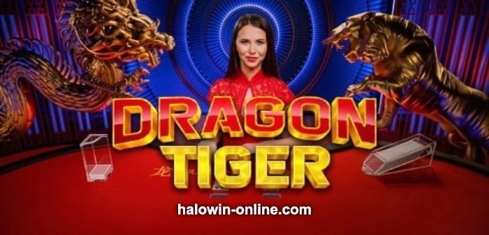 Mga Winning Tricks sa mga Baguhang manlalaro ng Live Dragon Tiger Game